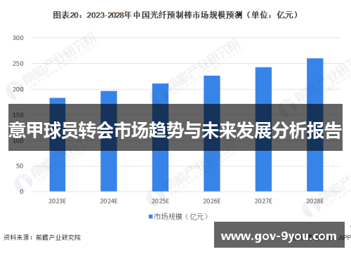 意甲球员转会市场趋势与未来发展分析报告