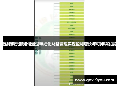 足球俱乐部如何通过精细化财务管理实现盈利增长与可持续发展