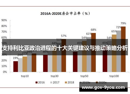 支持利比亚政治进程的十大关键建议与推动策略分析