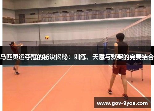 马匹奥运夺冠的秘诀揭秘：训练、天赋与默契的完美结合